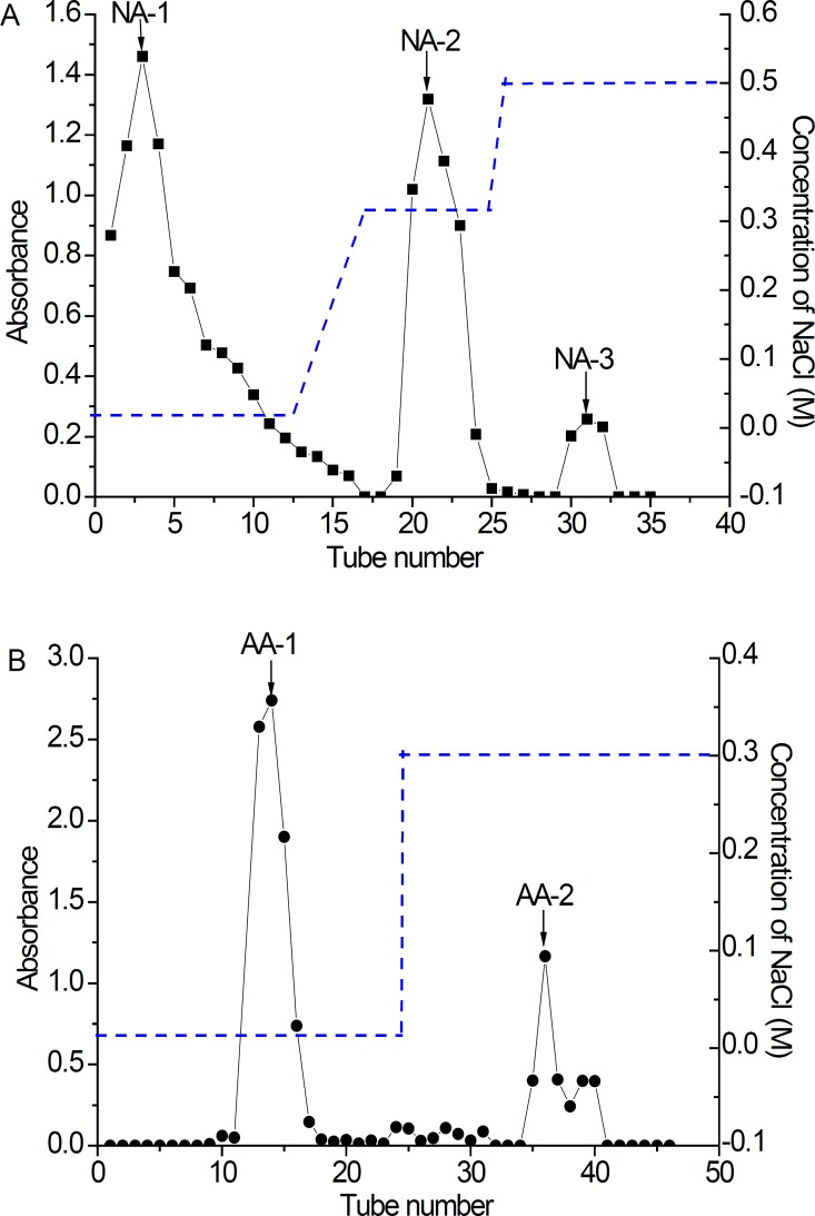 Elution curve of polysaccharide fractions in DEAE–cellulose 52 anion-exchange column purified by different concentrations of NaCl aq. A: NA (1, 2 and 3); B: AA (1 and 2) (-●- Absorbance at 490 nm .... NaCl gradient). ; NA: Neutral Anemaran; AA: Acid Anemaran.