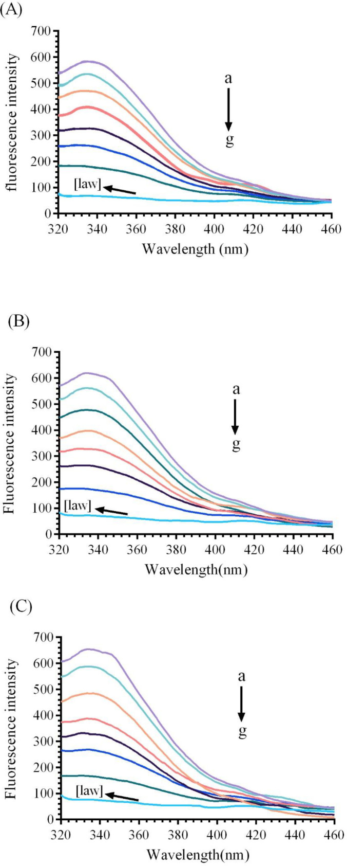 Fluorescence emission spectra of bovine liver catalase (BLC) in the presence or absence of different concentrations of LAW at 280 nm excitation wavelength, BLC concentration: (0.7 µM); LAW concentrations:(a) 0, (b) 0.47, (c) 4.7, (d) 11.8, (e) 14.2, (f) 23.6 and (g) 37.8 µM, (h) only LAW, 0.7 µM, (A) 298 K, (B) 303 K, (C) 310 K