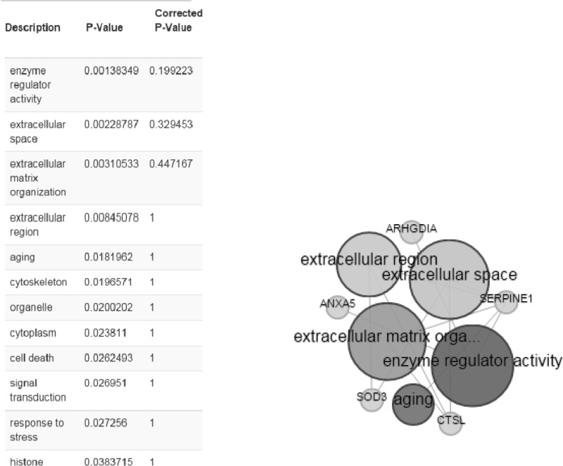 Gene ontology enrichment analysis by the use of BioMart online software. Right, the bigger the circles, the more annotated to the term based on cut off P<0.05 and left, statistical properties of annotations