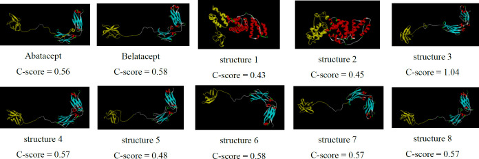 3D structure prediction of the chimeric proteins by I-TASSER server. Structure 3-8 show two distinct sections separated by linkers as well as belatacept. But, structures 1, 2 represent different conformation