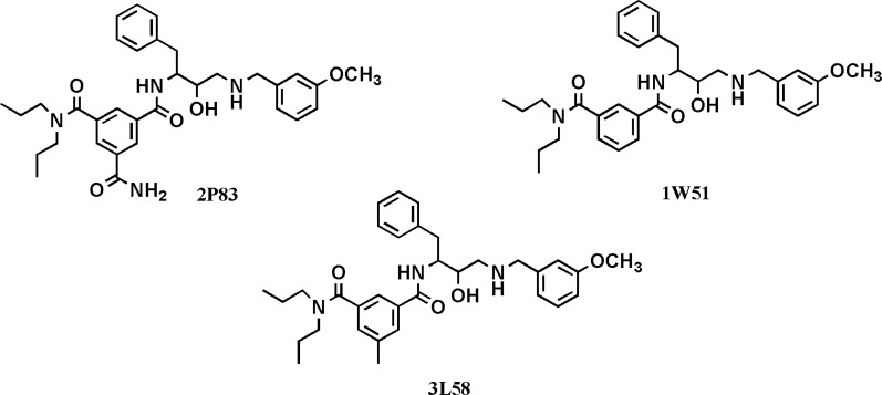 Chemical structures of isophthalamide-based BACE-1 inhibitors with their relevant PDB codes used for the assessment of side chain effects