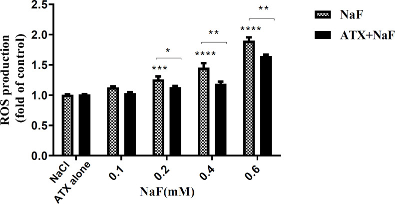 Effect of NaF exposure and ATX pretreatment on the production of ROS in astrocyte cells. Cells were exposed to 0.1, 0.2, 0.4, and 0.6 mM NaF alone (NaF) and after pretreatment with 30 μM ATX (ATX+NaF). The NaCl and ATX alone as controls were also shown. The results were expressed as a ratio to control value