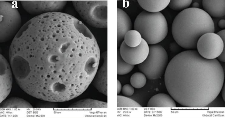 Scanning electron micrographs of triptoreline microspheres prepared: (a) with 2% Poloxamer 407 and (b) without Poloxamer 407
