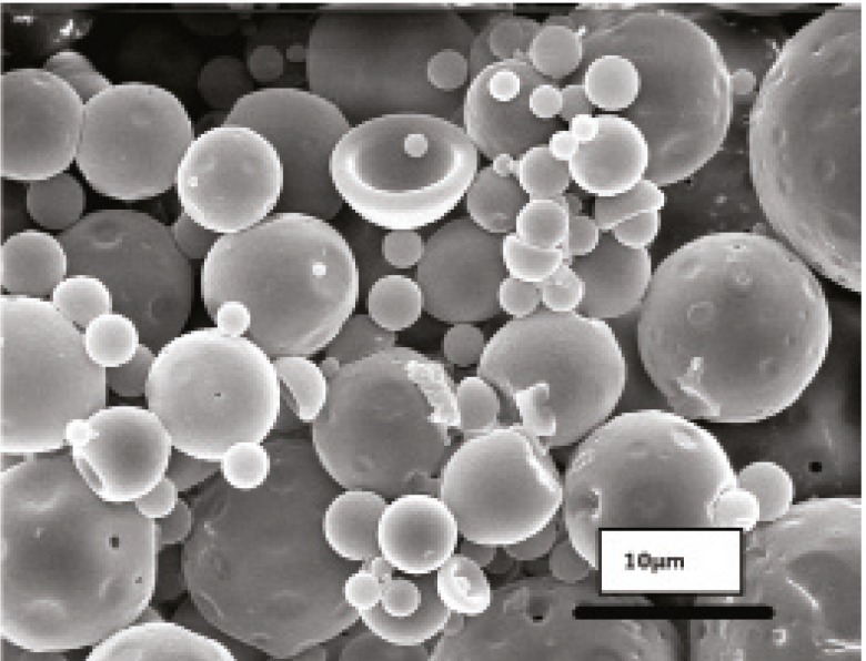 Scanning electron micrographs of G microspheres after incubation for 12 h at 37°C in FaSSIF.