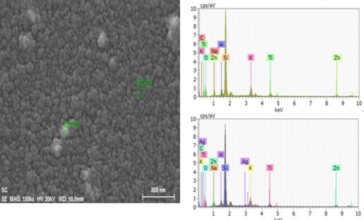 Energy-dispersive X-ray spectrometric (EDS) figures nanoparticles (spectrum: SC-03) Less aggregated area (spectrum: SC-04