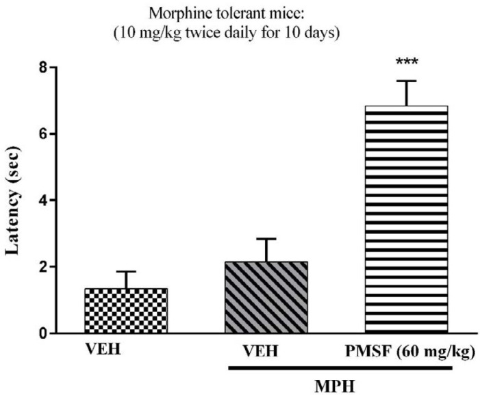 Effect of acute administration of PMSF on the expression of morphine tolerance in mice. To evaluate whether PMSF could reverse morphine tolerance in mice, the animal received morphine (10 mg/kg, s.c.) twice daily for 10 days and on the test day (day11), PMSF (60 mg/kg, i.p.) was administrated 30 min before morphine injection. The hot-plate test was carried out to evaluate the effect of PMSF on the expression of morphine tolerance. Each point represents the means ± SEM. (n = 8). ***P < 0.001 vs. vehicle-treated group (ANOVA Tukey's multiple comparison test)