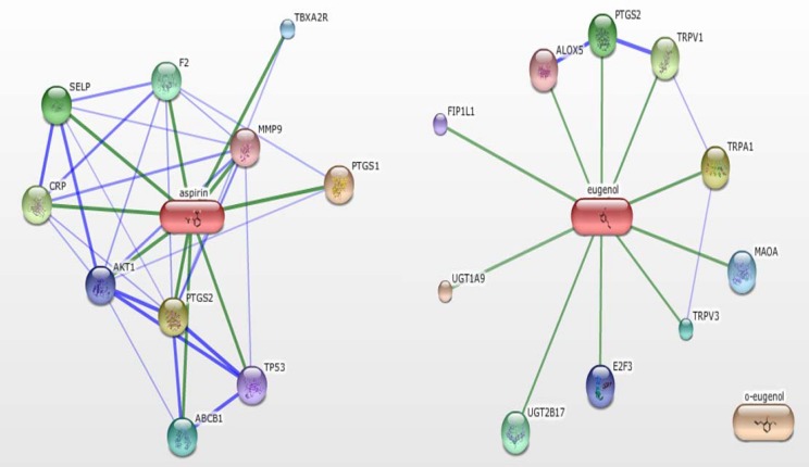 The confidence view of aspirin and eugenol from chemical-protein interactions. Through searching the database of STICH, proteins linked to aspirin and eugenol were found out. Stronger associations are represented by thicker lines. Protein-protein interactions are shown in blue, chemical-protein interactions in green. Through the network, the key substances from inflammation and thrombosis were selected. A: Aspirin as the center, B: Eugenol as the center