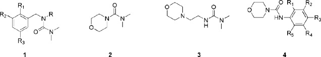Representative examples of some biologically active urea-like compounds