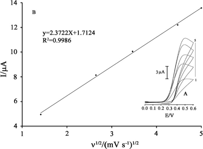 (A) Cyclic voltammograms of 100 μM PA in the presence of 500 μM MDOP at various scan rates: (a) 2, (b) 7, (c) 12; (d) 20; (e) 25 mV s−1 in 0.04 M universal buffer solution (pH 5.0). (B) Plot of Ipa versus ν1/2 for the oxidation of 100 μM PA in the presence 500 μM MDOP at the surface of MWCNTs/MCPE