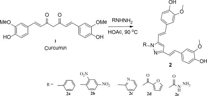Curcumin based pyrazoles prepared form reacting curcumin with various hydrazines
