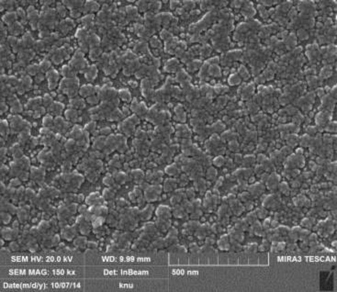 FESEM micrograph of AgNPs of Biden frondosa