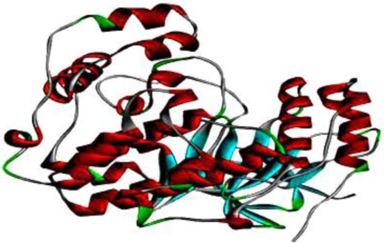 Three-dimensional crystal structure of p38 MAPK. This solid ribbon represents colors based on their secondary structure. Red represents helices, blue represents beta sheets, green represents turns, and white represents coils