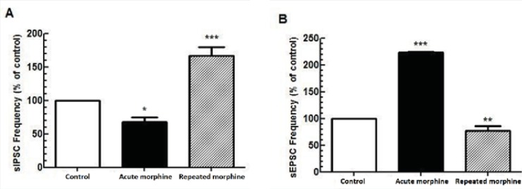 Comparison between the effect of acute and repeated morphine administration on MCNs activity. (A) Bath application of morphine (25 μM) elicited reduction in the frequency of sIPSC (n=7) but repeated in-vivo administration of morphine increased the frequency of sIPSC (n=6). (B) Bath application of morphine (25 μM) increased the frequency of sEPSC (n=5) whereas repeated morphine administration decreased the frequency of sEPSC (n=5). Each bar represents mean ± SEM.