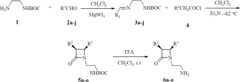 Synthesis of cis-β-lactams 5a-o and 6a-o