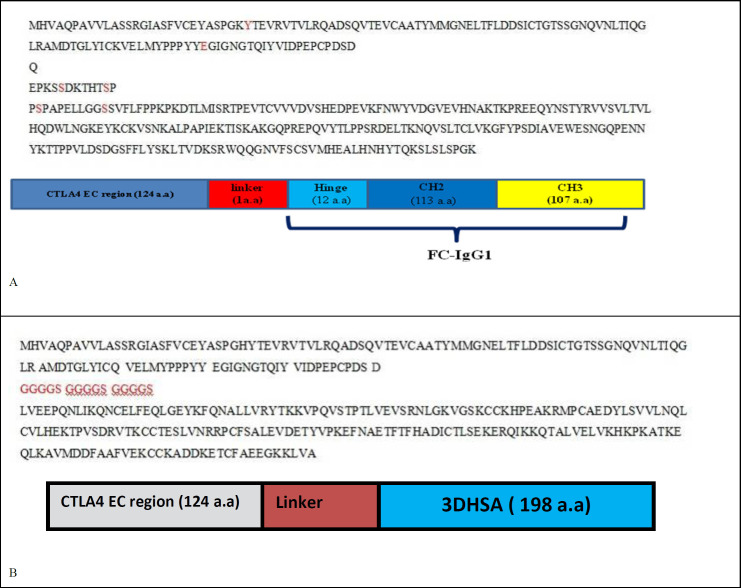 Gene sequences and Overview diagrams of A) Abatacept and belatacept B) structures 1 and 2