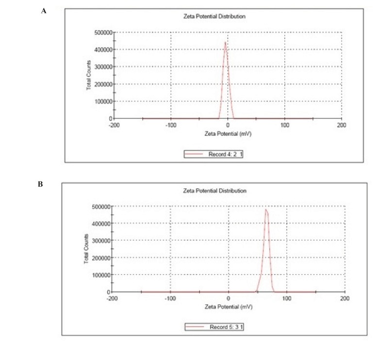(A) Zeta potential of albumin nanoparticles, (B) Zeta Potential of galactose coated nanoparticles.