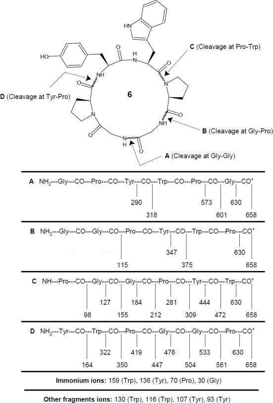 Mass fragmentation pattern for synthesized cyclohexapeptide diandrine C (6)