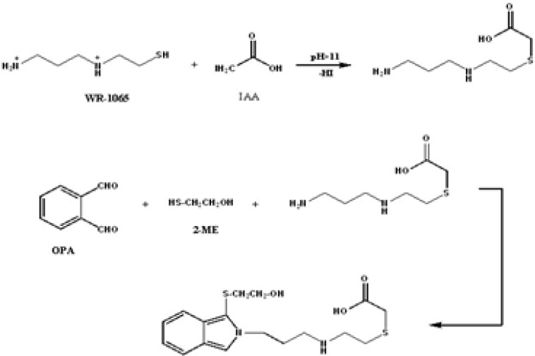Alkylation of WR-1065 with IAA followed by derivatization with OPA-2-ME