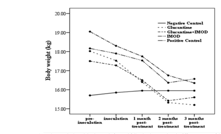 Mean body weight changes before and following interventions in different groups of dogs.