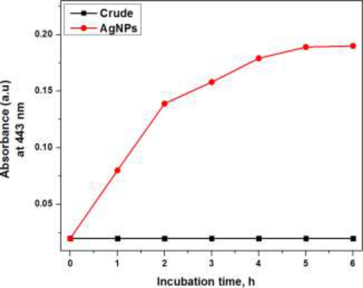Effect of incubation time on the synthesis of AgNPs