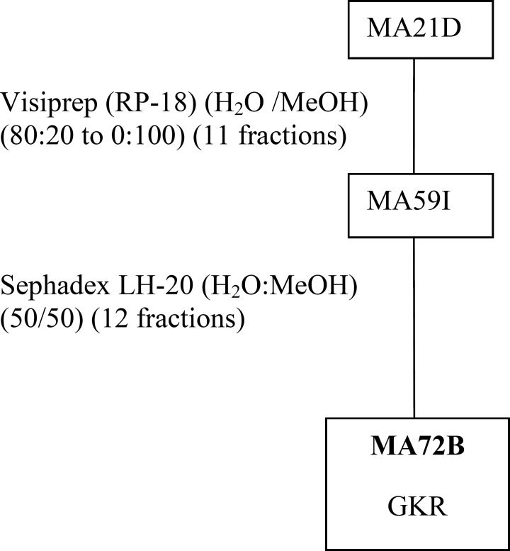 Purification of MA72B obtained from fractionation of MeOHL extract.