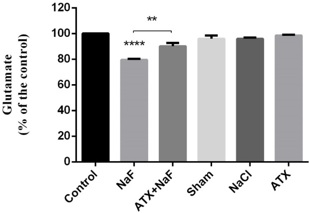 Effect of NaF exposure and ATX pretreatment on the glutamate concentration of rat hippocampus. The rats were treated with 270 ppm NaF alone (NaF), 25 mg/kg bw/day ATX pretreated (ATX+NaF), and 25 mg/kg bw/day ATX alone (ATX). The control group received no treatment, whereas sham and NaCl groups were treated with olive oil and NaCl solution, respectively