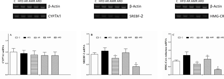 Three key hepatic cholesterol metabolism genes mRNA relative quantities in mice treated with TCMs for four weeks. A, CYP7A1; B, SREBF-2 and C, HMG-CoA reductase. *P<0.01, **P<0.05 significantly different from samples in HFD group. #P<0.05 significantly different from samples in AR group