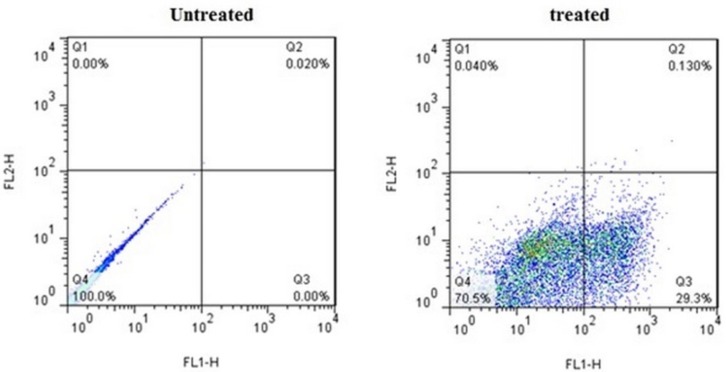 Flow cytometric analysis of Annexin V-FITC (FL1-H) at X-axis and PI (FL2-H) at Y-axis after double staining of MDA-MB-231 cells, treated with crude methanolic extract of E. platyloba at 24 h. Alive cell (Annexin V−/PI−) populations were located in the lower left quadrant (LL), apoptotic cell (Annexin V+/PI−) populations in lower right quadrant (LR), late apoptotic (Annexin V+/PI+) populations in upper right quadrant (UR), and necrotic cells (Annexin V−/PI+) were present in the upper left quadrant (UL). Dot plots of Annexin V/PI staining are shown in A) untreated MDA-MB-231 cells, B) MDA-MB-231 cells treated with IC50 concentration of crude methanolic extract