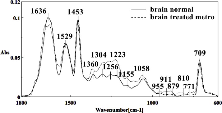 Mid-infrared spectra of normal (solid line) and Metronidazole treated (dot line) brain sections in the 600–1800 cm–1 wave number region