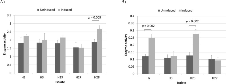 L-asparaginase activity of induced and uninduced Halomonas isolates measured at substrate concentrations of 10 mM (A) and 0.1 mM (B). Enzyme activity is given in U/mL/OD600. The p-values for significant differences (obtained through two-sample t test) are shown