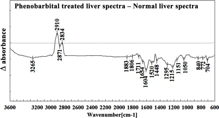 Difference FTIR spectra of Phenobarbital treated liver sections in the 3600–600 cm-1 wave number region minus the spectra of normal liver sections.