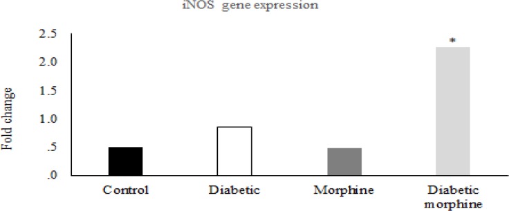 iNOS gene expression in the spinal cord. Comparison of iNOS gene expression between Control, Diabetic, Morphine and Diabetic morphine groups. Data are expressed as means ± S.E.M. *P < 0.05, indicates Significant increase in diabetic morphine group compared to the other groups