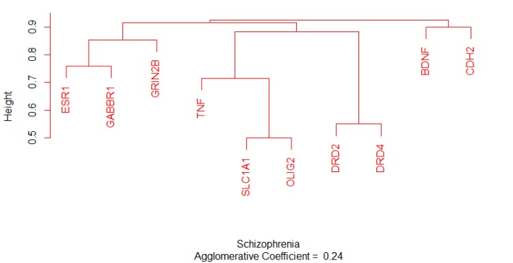 Dendrogram plotting of ten analyzed genes by the use of AGNES function. The height indicates the distance between the nodes. The agglomerative coefficient is 0.24