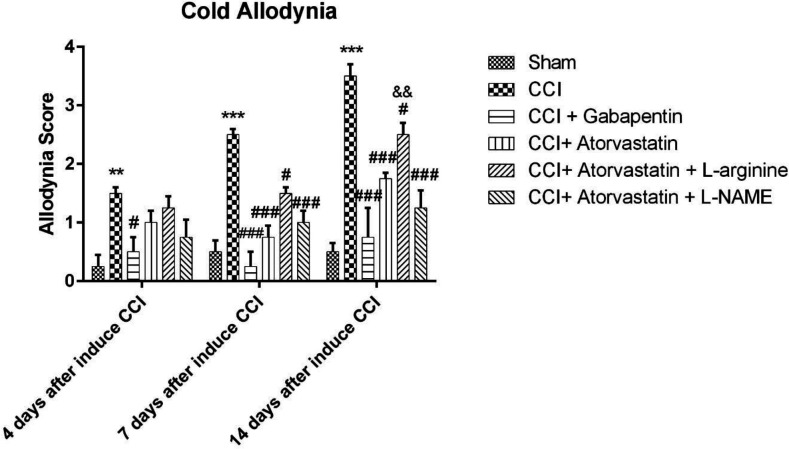 Effects of atorvastatin administration on CCI-induced cold allodynia assessed by acetone drop test (n = eight rats per each group). *P < 0.05, **P < 0.01, ***P < 0.001 vs. Sham, #P < 0.05, ##P < 0.01,###P < 0.001 vs. CCI, &P < 0.05, &&P < 0.01, &&&P < 0.001 vs. CCI + ATOR + LOS