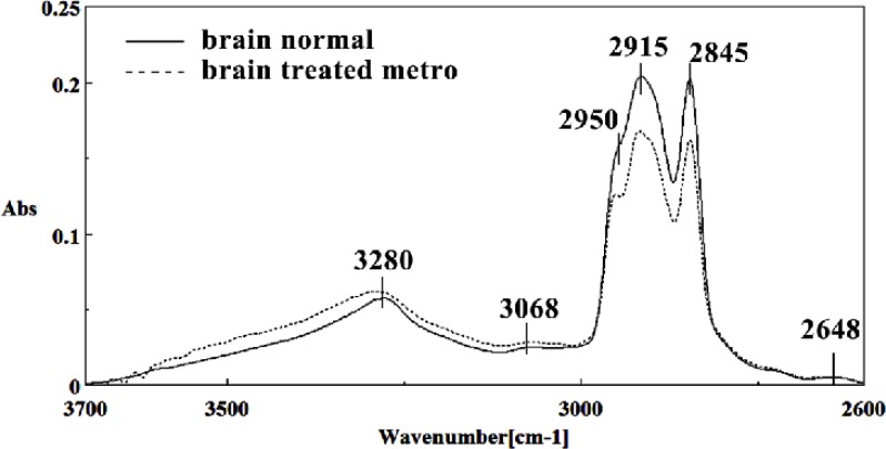 Mid-infrared spectra of normal (solid line) and Metronidazole treated (dot line) brain sections in the 2600–3700 cm–1 wave number region
