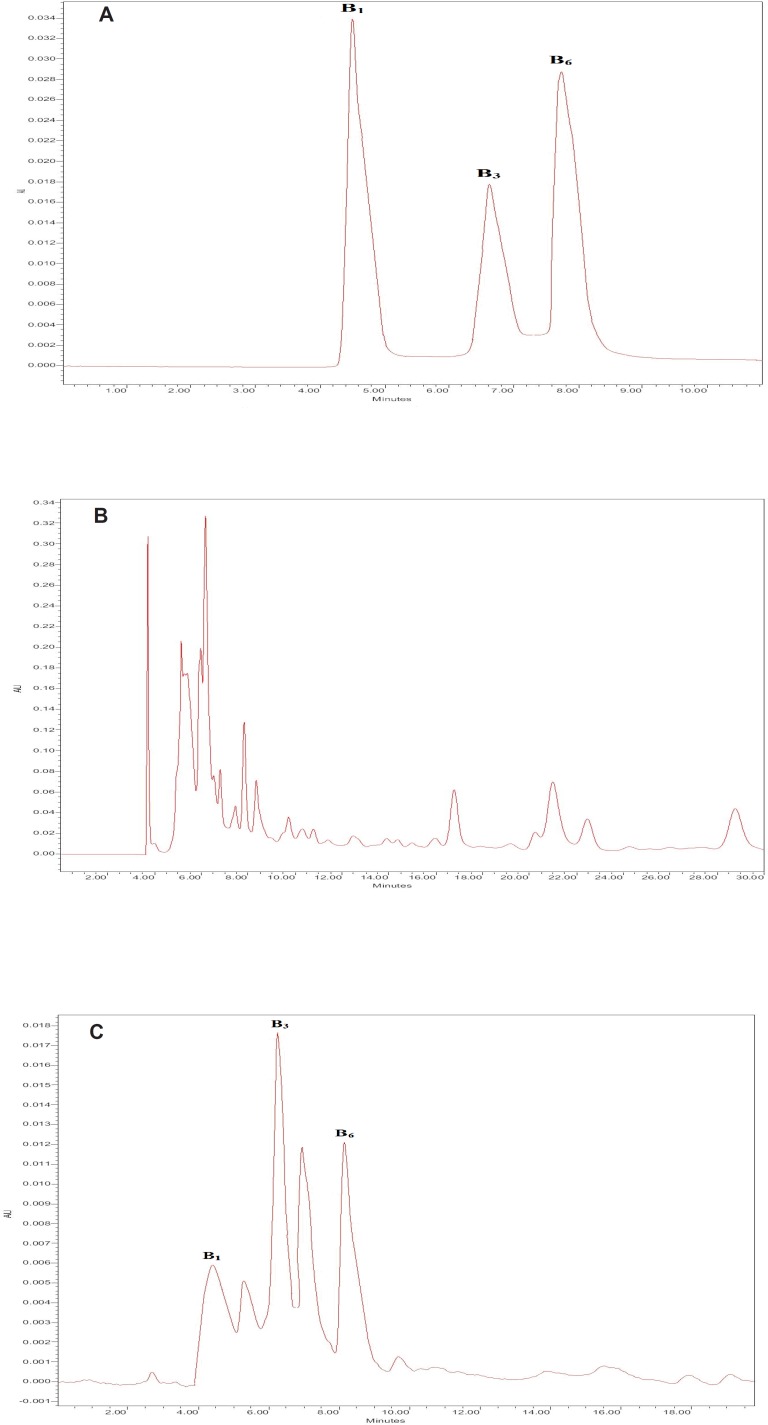 The HPLC chromatograms of thiamine (B1), nicotinamide (B3) and pyridoxine (B6) for standard solutions. A: After extraction using DLLME; B: sour cherry juice without extraction; C: sour cherry juice after extraction using DLLME.