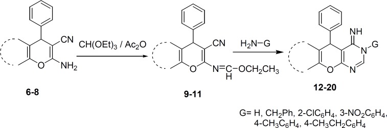Synthetic pathway of compounds 9-20.