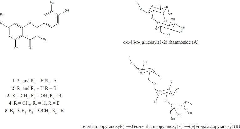 Structure of isolated flavonol glycosides from L. armenus