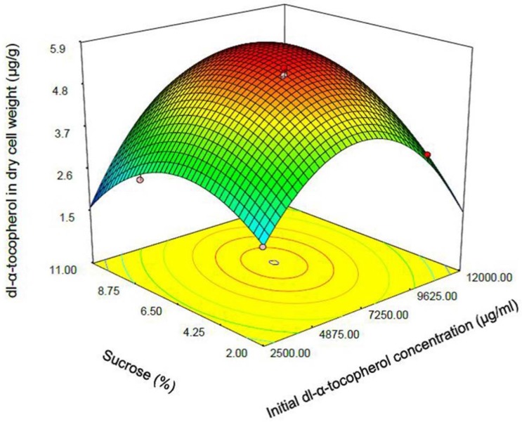 Response surface plot indicating the effect of sucrose (% w/v) added to culture medium and initial dl-α-tocopherol concentration interaction on dl-α-tocopherol amount per dry cell weight of S. cerevisia