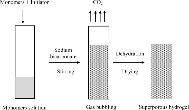 Diagrammatic representation of the general procedure for making superporous hydrogel