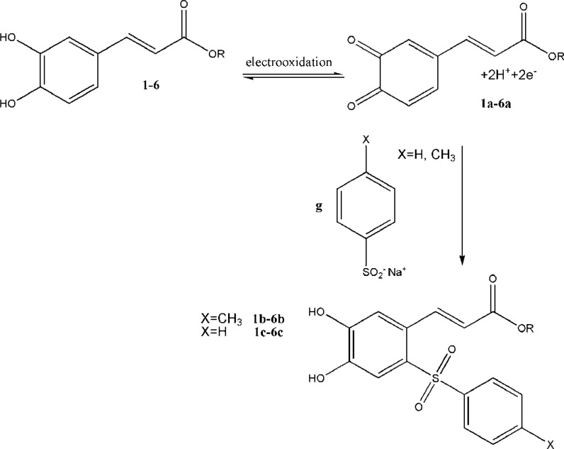 Electroxidation of CA esters (1-6) and reaction with sodium benzenesulfinate or sodium toluene-4-sulfinate