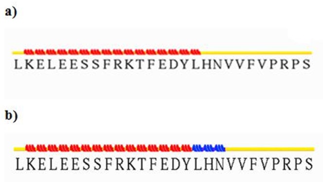 Input and output files of  -CT in complex with L1 resulting from stride server. In the input file, residue Leu709 contain  -helix structure, but residues His710 and Asn711 have turn shape. The following participation in the complex, residues 709-711 were converted to 310-helix. It looks that the conformation gets extended relative to before docking