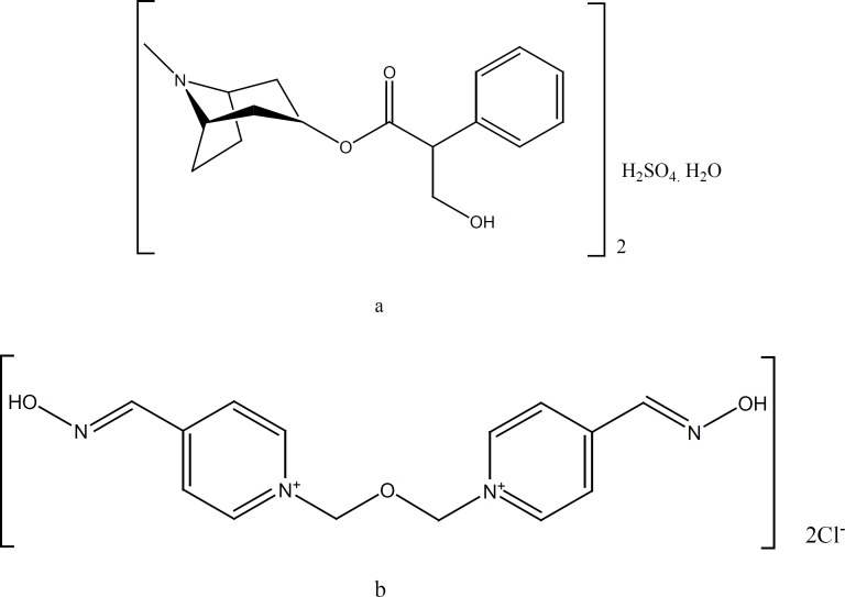 Chemical structures of atropine sulfate (a) and obidoxime chloride (b).