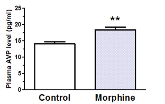 Changes in plasma arginine vasopressin (AVP) levels after repeated i.c.v. administration of morphine for 3 consecutive days. The control group received saline instead of morphine (n=7 in each group). Blood samples were collected 45 min after last morphine administration. Each bar represents mean ± SEM.