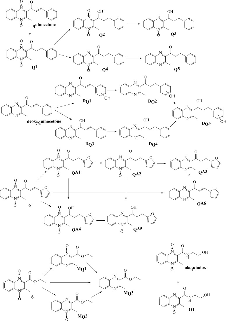The proposed metabolic pathways of quinocetone 3a, deoxyquinocetone 5a, olaquindox, compound 6 and 8 in HepG2 cells