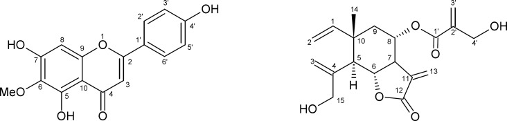 Compounds 1 and 2 isolated from Onopordum espinae leaves
