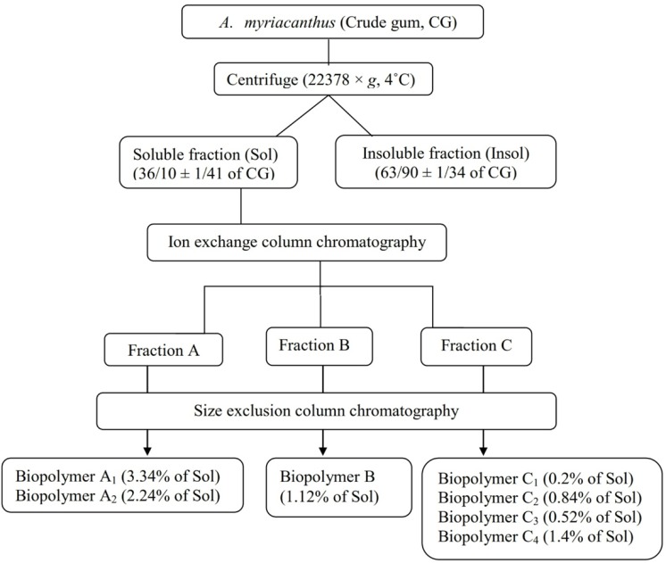 Fractionation of gum exudates obtained from A. myriacanthus and yields (w/w) of different isolated carbohydrate biopolymers (CG: crude gum, Sol: soluble fraction