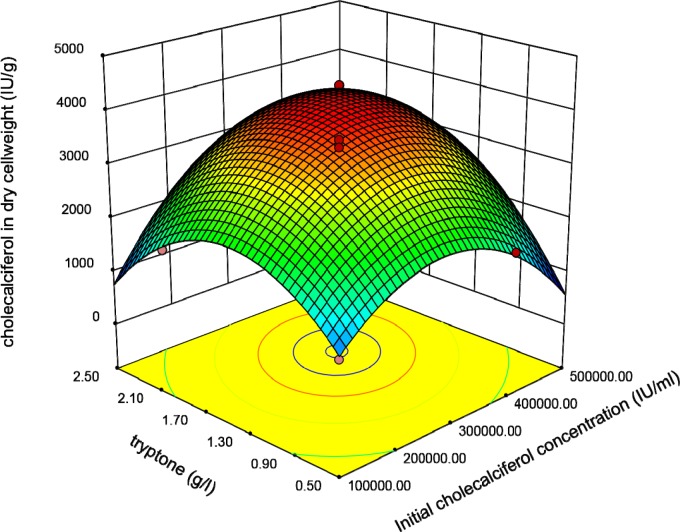 Response surface plot indicating the effect of Tryptone and initial cholecalciferol concentrations interaction on cholecalciferol amount per dry cell weight of S.cerevisia