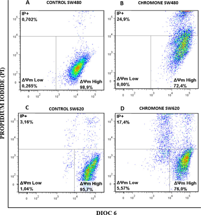 Mitochondrial membrane potential (Δ m) in (A-B) SW480 cells and (C-D) SW620 treated with either the chromone or 1% DMSO/Ethanol (1:1) as control, during 48 h. Flow cytometric analysis of cells stained with DiOC6 and PI; Δ m High: live cells with high membrane polarization; Δ m Low and PI+: cells in latency that lose membrane polarization and dead cells, respectively