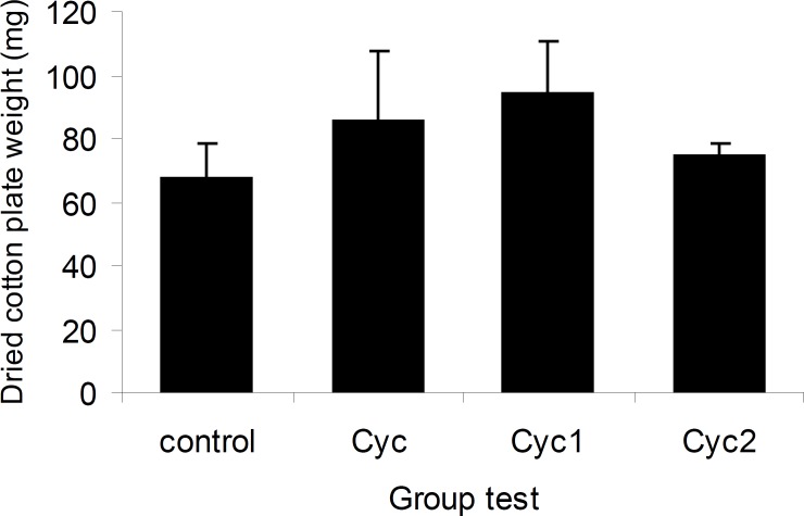 Chronic anti-inflammatory effects of I-III in cotton plate implantation model. There was no significant effect between the control and treatment animals. Bars show mean ± SEM cotton dry weight (n = 12).